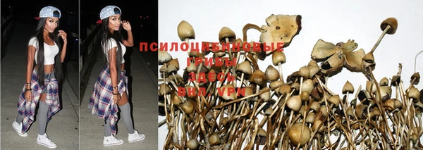 амф Алексеевка