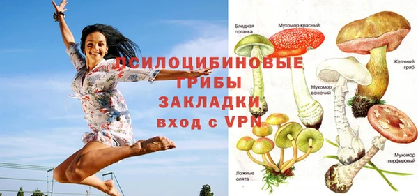 амф Алексеевка