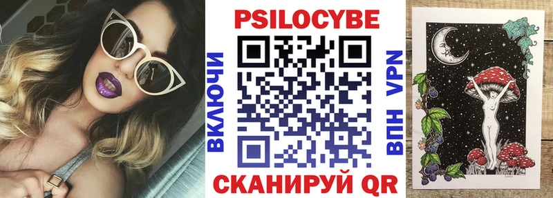 продажа наркотиков  Данилов  Псилоцибиновые грибы Psilocybe 